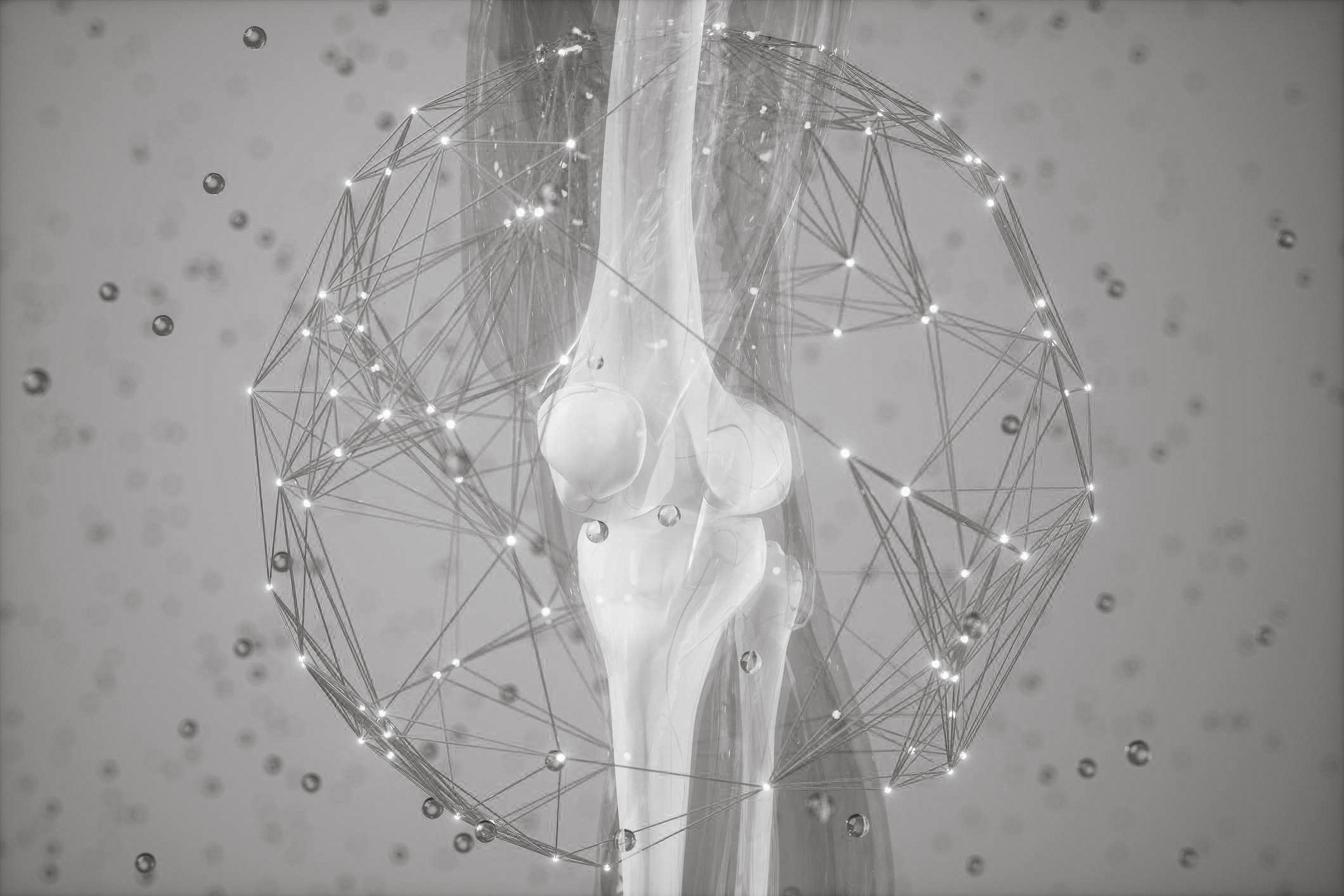 Knee joint rendered inside a generated point-mesh network